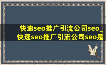 (快速seo推广引流公司)seo_(快速seo推广引流公司)seo是什么意思