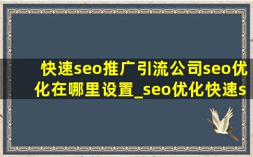 (快速seo推广引流公司)seo优化在哪里设置_seo优化(快速seo推广引流公司)