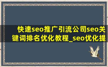 (快速seo推广引流公司)seo关键词排名优化教程_seo优化提升关键词排名技巧