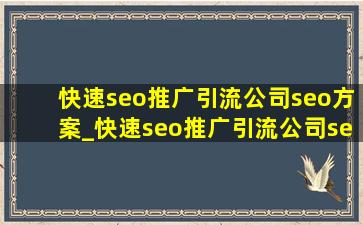 (快速seo推广引流公司)seo方案_(快速seo推广引流公司)seo优化方案