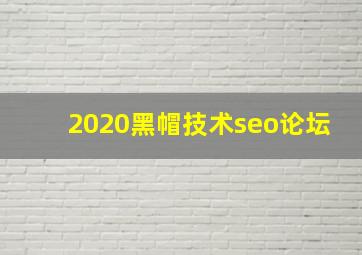2020黑帽技术seo论坛