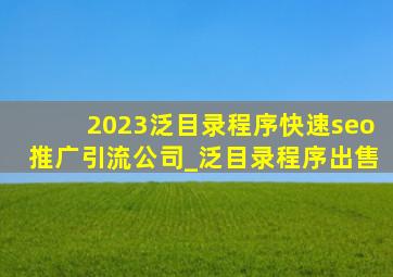 2023泛目录程序(快速seo推广引流公司)_泛目录程序出售