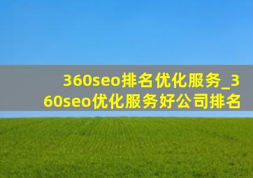 360seo排名优化服务_360seo优化服务好公司排名