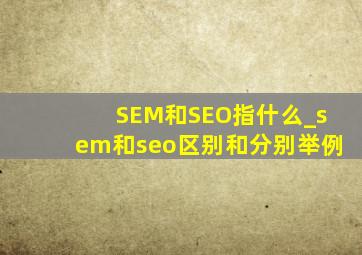 SEM和SEO指什么_sem和seo区别和分别举例