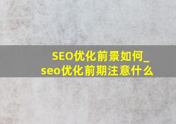 SEO优化前景如何_seo优化前期注意什么