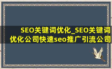 SEO关键词优化_SEO关键词优化公司(快速seo推广引流公司)