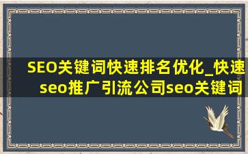SEO关键词快速排名优化_(快速seo推广引流公司)seo关键词排名优化教程