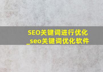 SEO关键词进行优化_seo关键词优化软件