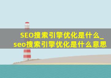 SEO搜索引擎优化是什么_seo搜索引擎优化是什么意思