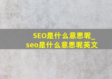 SEO是什么意思呢_seo是什么意思呢英文