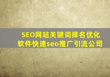 SEO网站关键词排名优化软件(快速seo推广引流公司)