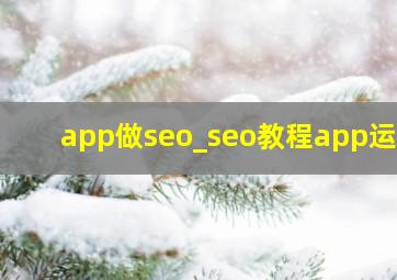 app做seo_seo教程app运营