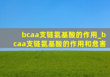 bcaa支链氨基酸的作用_bcaa支链氨基酸的作用和危害
