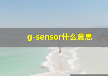 g-sensor什么意思