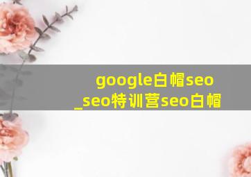 google白帽seo_seo特训营seo白帽