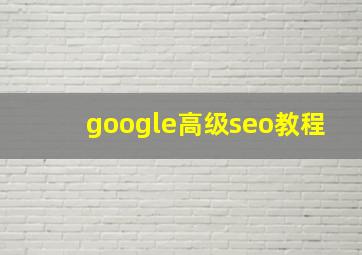 google高级seo教程