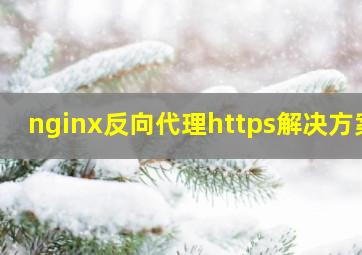 nginx反向代理https解决方案