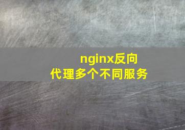 nginx反向代理多个不同服务