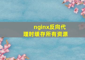 nginx反向代理时缓存所有资源