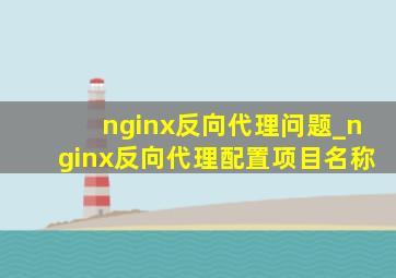 nginx反向代理问题_nginx反向代理配置项目名称