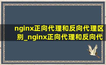 nginx正向代理和反向代理区别_nginx正向代理和反向代理配置详解