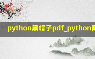 python黑帽子pdf_python黑帽子