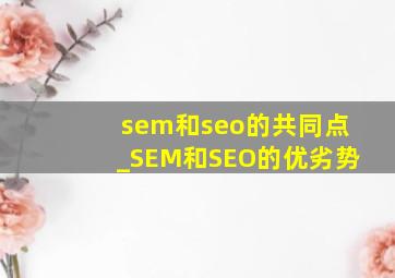 sem和seo的共同点_SEM和SEO的优劣势