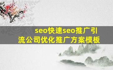 seo(快速seo推广引流公司)优化推广方案模板