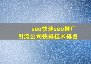 seo(快速seo推广引流公司)快排技术排名