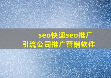 seo(快速seo推广引流公司)推广营销软件