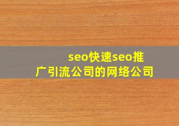 seo(快速seo推广引流公司)的网络公司