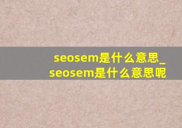 seosem是什么意思_seosem是什么意思呢