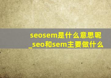 seosem是什么意思呢_seo和sem主要做什么