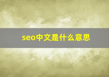 seo中文是什么意思