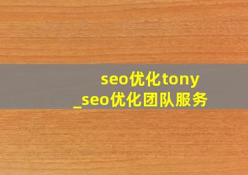 seo优化tony_seo优化团队服务