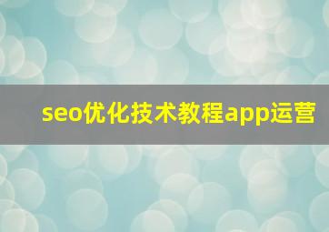 seo优化技术教程app运营