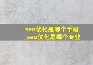 seo优化是哪个手段_seo优化是哪个专业