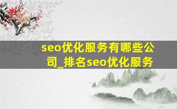 seo优化服务有哪些公司_排名seo优化服务