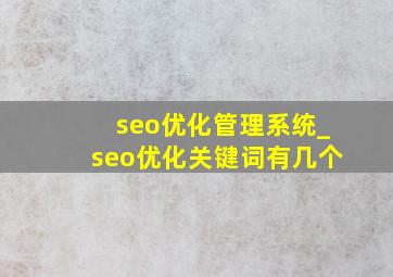 seo优化管理系统_seo优化关键词有几个