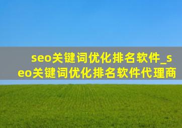 seo关键词优化排名软件_seo关键词优化排名软件代理商