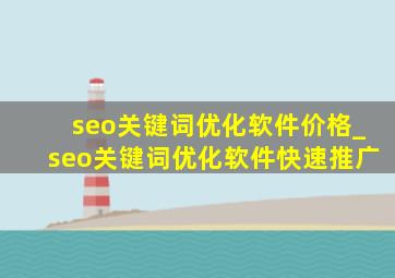 seo关键词优化软件价格_seo关键词优化软件快速推广