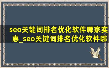 seo关键词排名优化软件哪家实惠_seo关键词排名优化软件哪家强