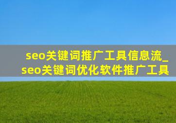 seo关键词推广工具信息流_seo关键词优化软件推广工具