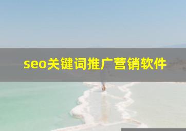 seo关键词推广营销软件