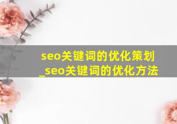 seo关键词的优化策划_seo关键词的优化方法