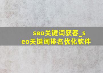 seo关键词获客_seo关键词排名优化软件
