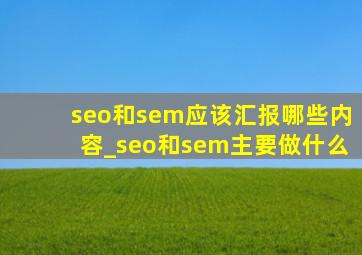 seo和sem应该汇报哪些内容_seo和sem主要做什么