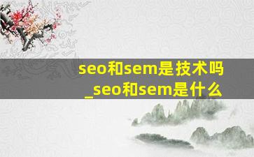 seo和sem是技术吗_seo和sem是什么