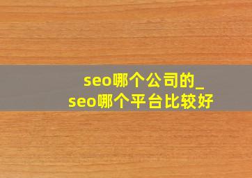 seo哪个公司的_seo哪个平台比较好