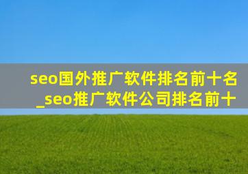 seo国外推广软件排名前十名_seo推广软件公司排名前十